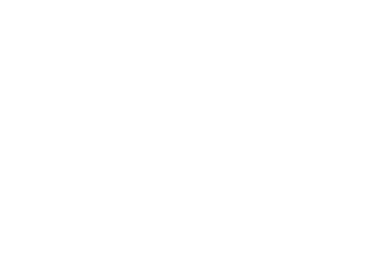 logo vasco